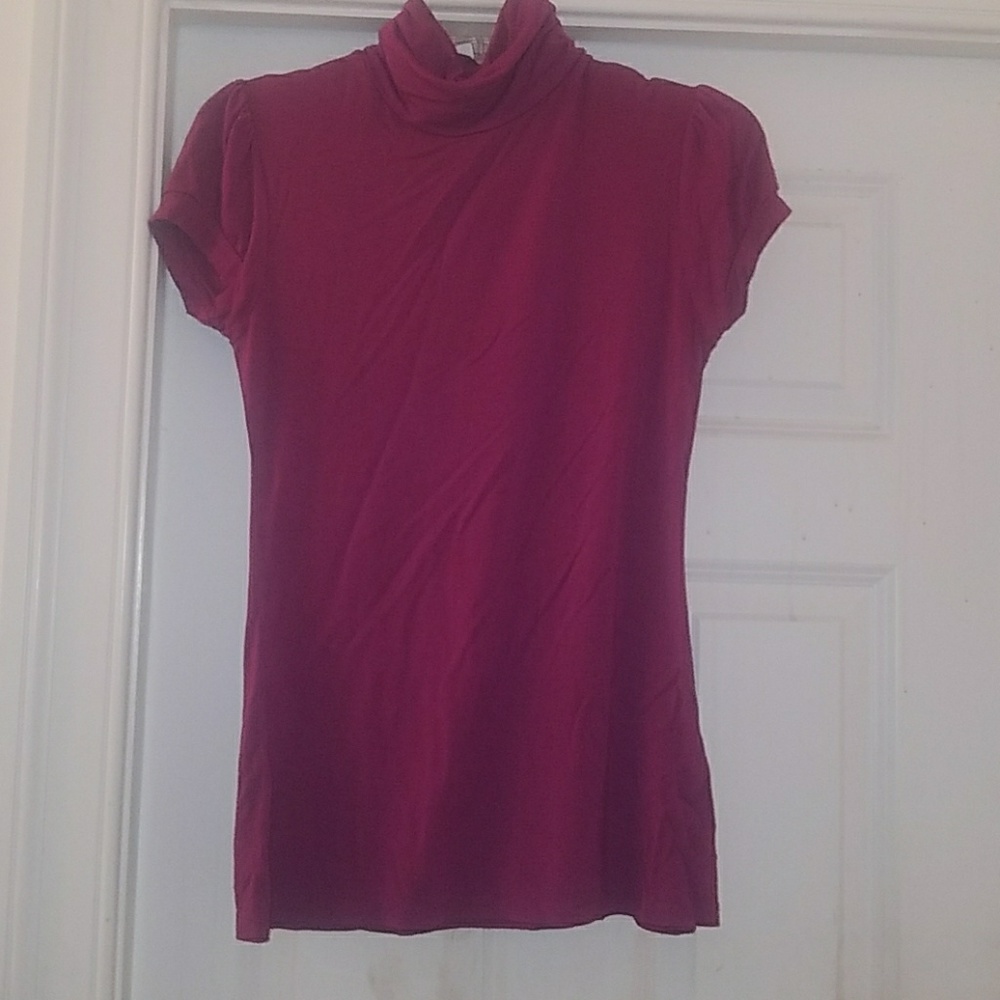 Magenta Turtleneck